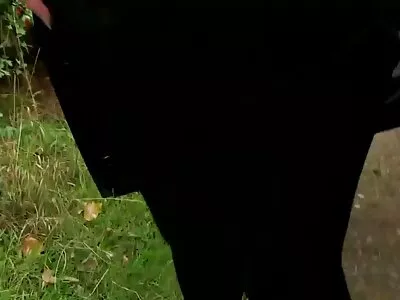 पेटीट गोरा प्रिय सिसिलियाला हंकने घुसवले