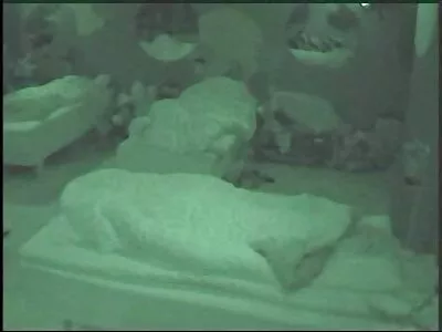 गोरा महिला फक्त तिच्या मोठ्या काळ्या प्रियकराला पुरेसे मिळवू शकत नाही