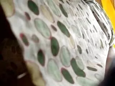 जाड गांड असलेली कोलंबिया घुसली आणि क्रीमयुक्त झाली