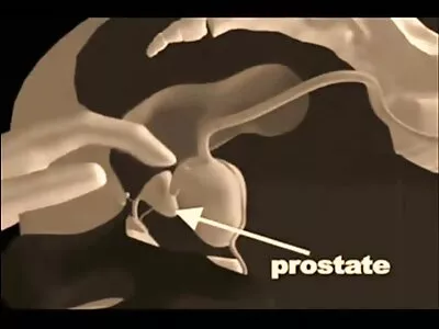 ब्लोंड बेब हेअर सलून मध्ये हॉट लेस्बियन थ्रीसम चा आनंद घेते